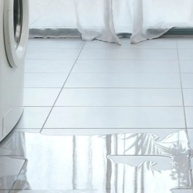 Appliance Leak Cleanup in Biscoe, NC