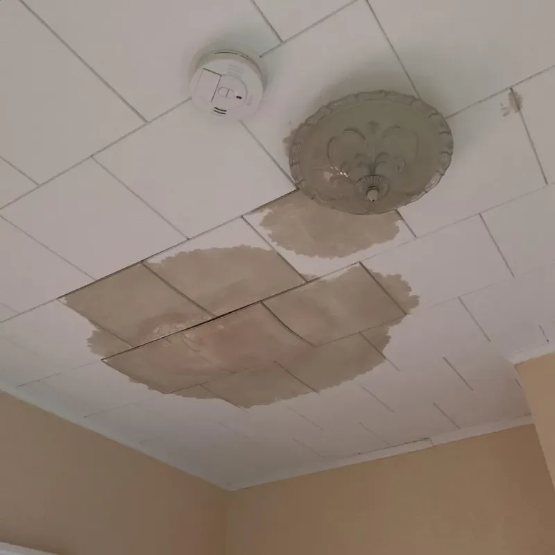 Ceiling Water Damage Repair in Biscoe, NC