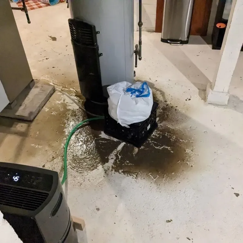 Sewage Backup Cleanup Service in Biscoe, NC